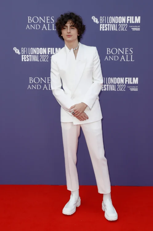 Timothee Chalamet in all-white