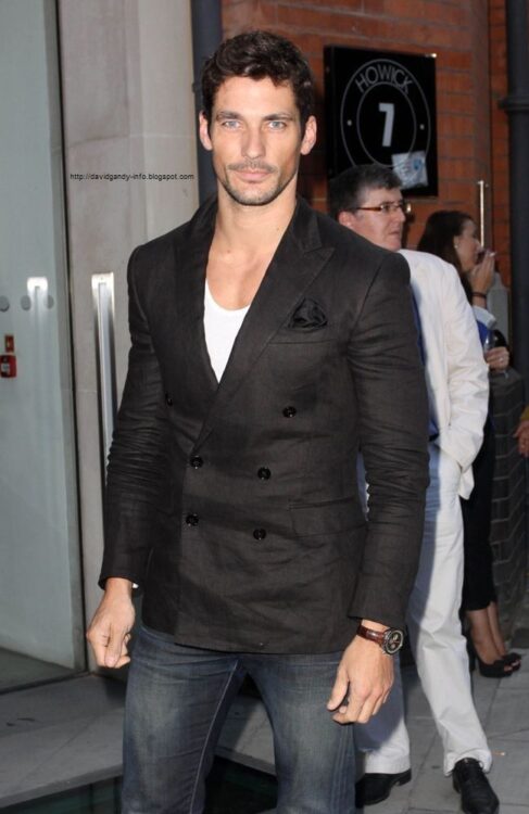 David Gandy