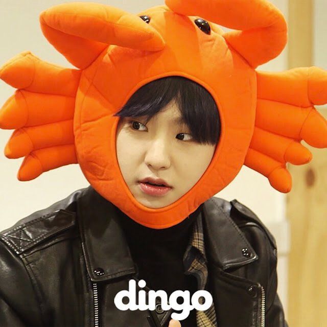 Hoshi Crab Hat, Crazy and Comical Hats